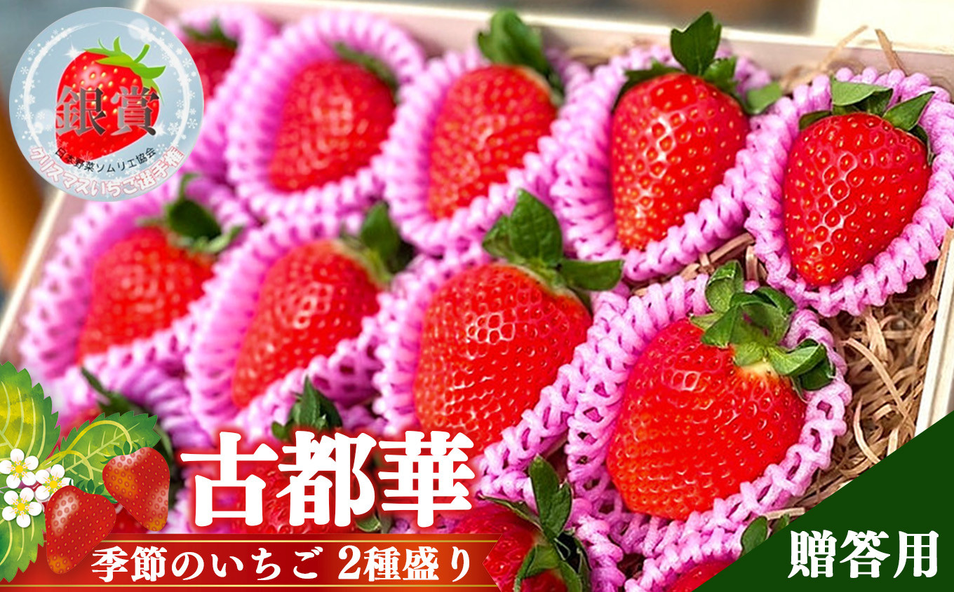 
            奈良県 高級 ブランド “ 古都華 ”と“ 季節 の いちご ” 2種 盛り 贈答用 1ケース  | フルーツ くだもの 果物 イチゴ  ことか コトカ 奈良県 五條市 苺 品種 特徴 糖度 旬 2月 順次発送 LIP～幸せいちご園～ 産地直送 農家直送 お取り寄せ 送料無料 グルメ フレッシュ 果実 新鮮 ブランド苺 ストロベリー 冷蔵 高糖度 減農薬栽培 食べ比べ 濃厚 贅沢 ギフト 贈答
          