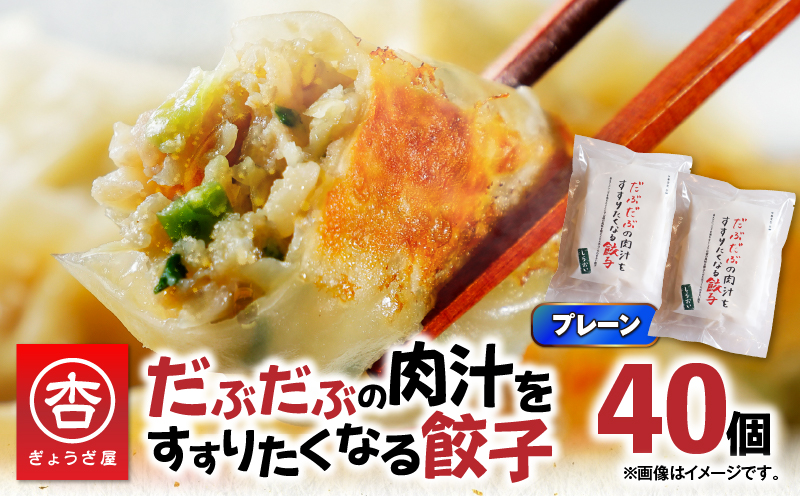 だぶだぶの肉汁をすすりたくなる餃子 40個　T060-001