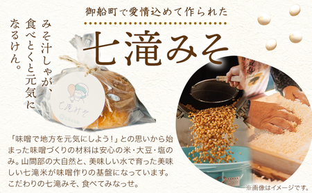 みそ 味噌 七滝みそ 約3kg 七滝元気組 《30日以内に発送予定(土日祝除く)》熊本県 御船町 無添加 化学調味料不使用 調味料 味噌汁 みそ汁