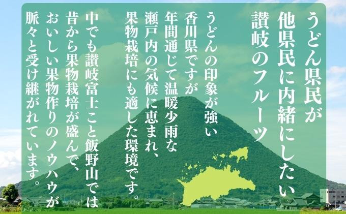 いちごのお姫様 さぬきひめ 12月中旬から順次発送 選べる容量 約250g×4パック 苺 いちご 果物 フルーツ 果物 ブランド さぬき姫 ジューシー 果汁 甘い 季節 デザート スイーツ ふるさと納