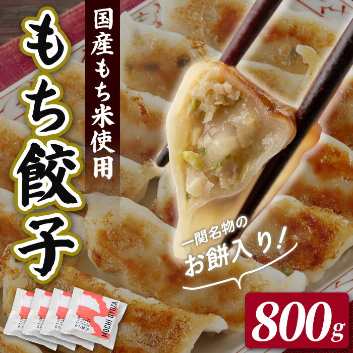 【ふるさと納税】岩手 いちのせき もち 餃子 40個（1袋10個×4袋）おもち入り 一関名物 手作り ギョウザ 肉汁 ジューシー もちもち食感 小野寺製麺 餅 コラボ 水餃子 揚げ 焼くだけ 冷凍 惣菜 豚肉 国産 野菜 点心 中華 おかず 岩手県 ご当地 グルメ 贈答 ギフト おつまみ