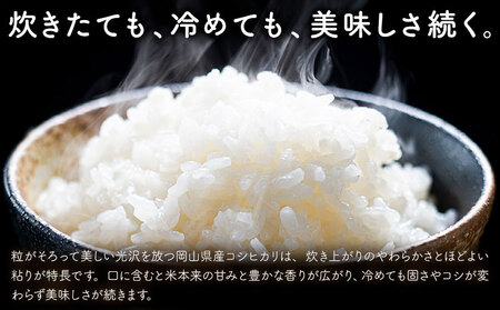 岡山県産 こしひかり 10kg(5kg×2袋) 無洗米 全農パールライス株式会社《30日以内に出荷予定(土日祝除く)》 岡山県 浅口市 送料無料 こめ 無洗米 コシヒカリ