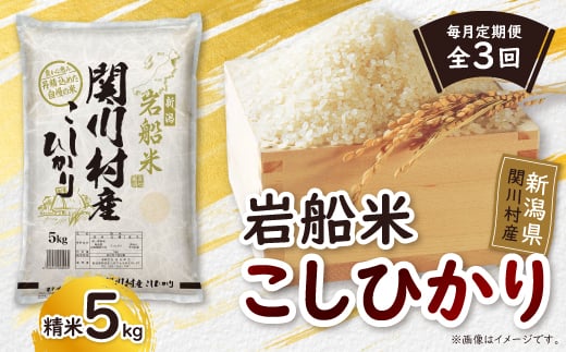 
            ＜毎月定期便＞炊きたてつやつや 新潟関川村産 岩船米こしひかり精米 5kg [星山米店]全3回【4079623】
          