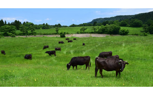 大分県産 「おおいた和牛生ハム｣と「おおいた豊後牛ローストビーフ」セット