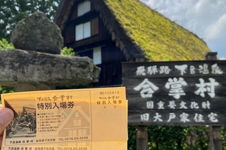 下呂温泉合掌村入場券　2枚 【19-1】合掌村 下呂温泉 チケット 入場 がっしょうむら 下呂市 入場券