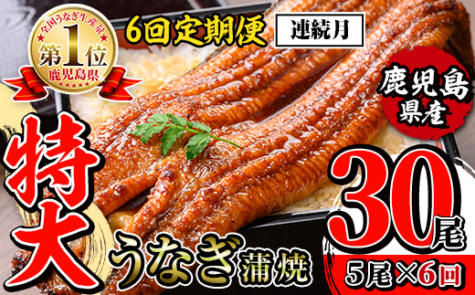i1177-A ＜定期便・計6回(連続月)＞＼特大サイズ／鹿児島県産 うなぎ蒲焼 5尾セット ＜（約220g×5・計約1100g）×全6回＞ 定期便 たれ 山椒付きうなぎ 鰻 ウナギ 特大 特大サイズ