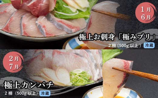 刺身 定期便 12ヶ月 小島水産 がお届けする！ 美味しい お刺身 1年 コース ( 鮮魚 下処理済 ) 産地直送 12回 新鮮 鮮魚 （ 鰤 ブリ 勘八 カンパチ 鯛 乙女鯛 真鯛 マダイ かつおの