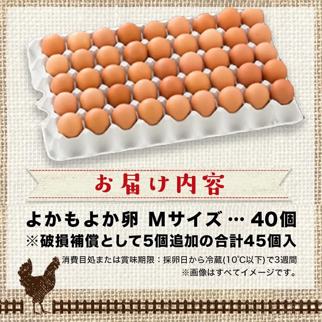 よかもよか卵40個_11-29-010-40_(都城市) 赤卵Mサイズ 破損補償(5個追加) 生卵 鶏卵 玉子 タマゴ たまご 新鮮 濃厚 宮崎県産 家庭用 卵かけご飯 シフォンケーキ たまご焼き オ