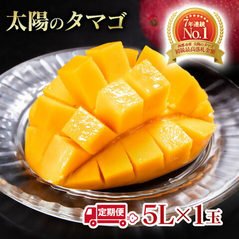 【ふるさと納税】宮崎県産 完熟マンゴー『太陽のタマゴ』5L×1個 （2ヶ月定期便）西都市特産品【数量限定】 西都市産 人気 さいと サイト ふるさと 先行予約 果物 フルーツ