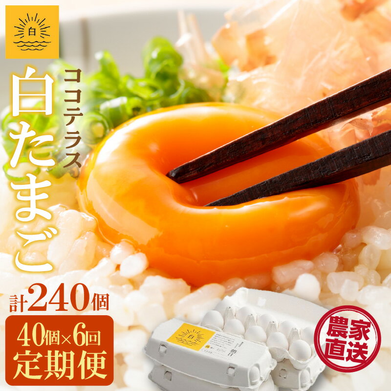 【ふるさと納税】【6ヵ月定期便】ココテラスの朝日（ 白たまご ）35個 + 5個保証【計40個】【 JGAP認証 】農家直送 新鮮 卵 純植物性飼料 飼料にこだわった 卵かけご飯 米たまご 大容量 卵 定期 送料無料