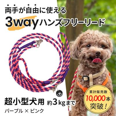 ふるさと納税 掛川市 【犬用リード】3WAYハンズフリーリード(超小型犬用)パープル×ピンク【ゴールデンママ】