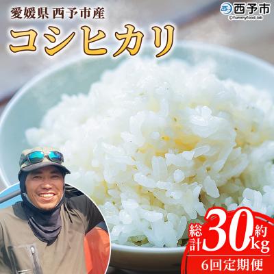 ふるさと納税 西予市 【先行予約】新米<令和8年産 愛媛県西予市産 コシヒカリ 5kg > 通常 6回 定期便 もとき農園