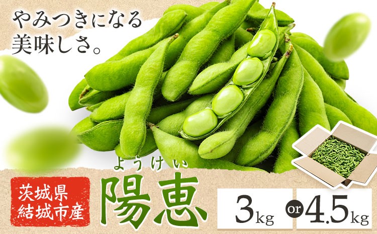 
                  枝豆 えだまめ「陽恵」（茶豆味）選べる 3kg 4.5kg 有限会社大嶋農園 《6月中旬-7月上旬頃出荷予定》 えだまめ 野菜 国産 甘み 香り 濃厚 つまみ ビールのおつまみ ビールのつまみ 【配送不可地域あり】(離島)
                