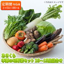 【ふるさと納税】定期便 野菜セット 年6回 2か月に1回×6回 おまかせ 10～15種 旬 朝倉市産 配送不可 離島　【定期便・野菜・セット・詰合せ】