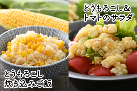 【先行予約】秋とうもろこし 10本 おおもの 黄色 朝採り ／ 期間限定 数量限定 ハウス栽培 産地直送 甘い スイートコーン とうもろこし 野菜 あわら ※2024年10月10日より順次発送