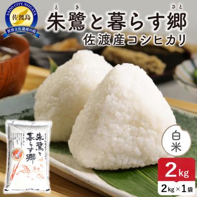 ふるさと納税 佐渡市 【新米】令和8年産 佐渡島産 朱鷺と暮らす郷(コシヒカリ) 白米2kg 特別栽培米【食の宝島佐渡】