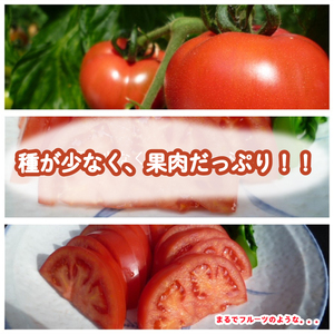 【2027年4月～発送】 トマト 2kg 大玉 秀品 Mサイズ トマト IM