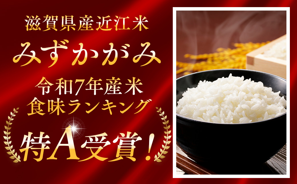 【3ヶ月定期便】【令和7年産】近江米みずかがみ白米5kg
