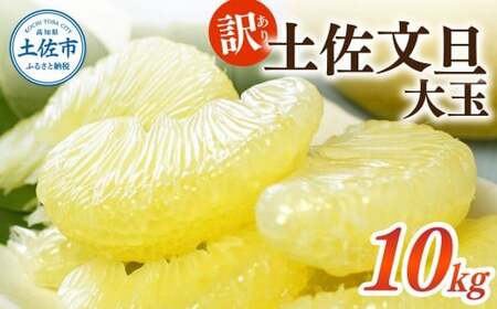 【先行予約】【訳あり】土佐文旦 大玉 訳あり 約10kg（3Lから2Lいずれかのサイズ）〈2027年2月中旬から3月下旬頃発送〉高知県土佐市 【株式会社SHIRAKI】 [BQAI058]