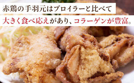 赤鶏の手羽元 2kg【日本一鶏肉研究所 株式会社 】 鶏肉 赤鶏 手羽元 とり肉 鳥肉  [ZCU019]