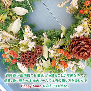 【11月下旬以降発送・数量限定】常緑樹の香りあふれるクリスマスリース（限定品）【インテリア おしゃれ 壁飾り プレゼント お花 ギフト ナチュラル クリスマス リース 水戸市 水戸 茨城県】（KW-3