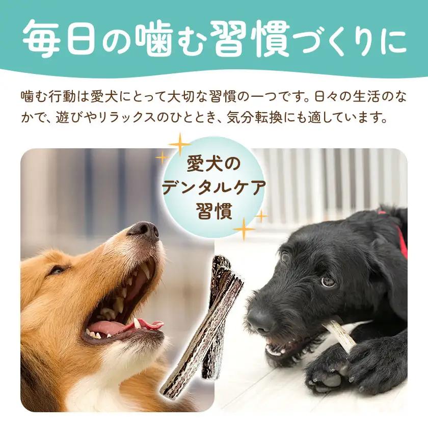 ペットのデンタルケア えぞ鹿の角 Mサイズ 株式会社K《30日以内に出荷予定(土日祝除く)》