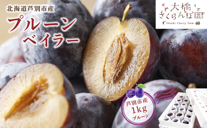 
                  【先行受付】 プルーン ベイラー 1kg 北海道 芦別市 大橋さくらんぼ園[№5342-0060]
                
