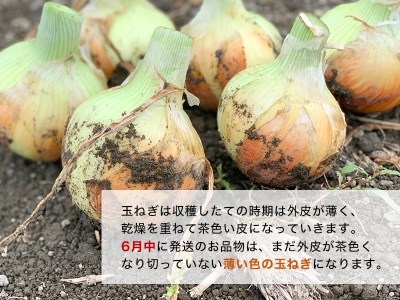 【あさひサンファーム】【混合５kg】兵庫県認証食品★特別栽培★淡路島たまねぎ