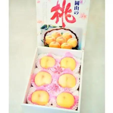 岡山県産 極甘・樹熟し白桃 5-8玉(約2kg)【配送不可地域：離島】【1740177】