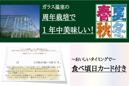 【毎月定期便】【訳あり】クラウンメロン 2玉 全3回 6229