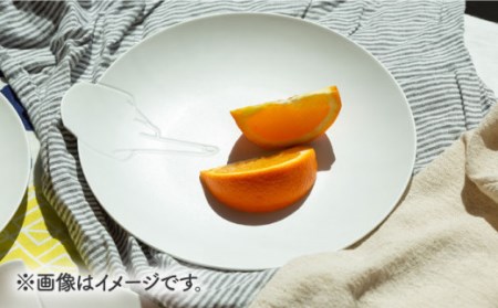 hands -point- プレート 1点【224porcelain】[NAU191] 肥前吉田焼 焼き物 やきもの 器 うつわ 皿 さら