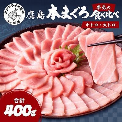 ふるさと納税 松浦市 長崎県松浦市鷹島産本まぐろ　大中合わせて400g　
