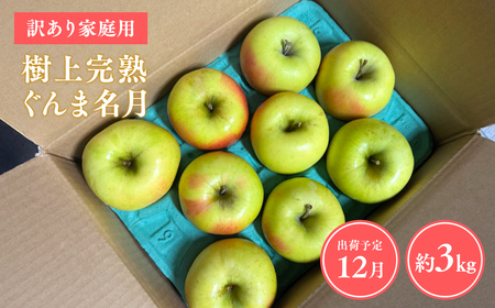 りんご 家庭用 樹上完熟ぐんま名月 約3㎏ 青森県平川市産 [hi-0038-020]