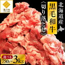 【ふるさと納税】【訳あり】北海道産 黒毛和牛すじ切り落とし｜北海道　国産　黒毛和牛　切り落とし　国産牛　お肉　牛肉　切落し　冷凍　小分け　パック　お取り寄せ　贅沢　おすすめ　送料無料　滝川市