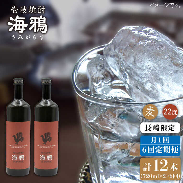 【ふるさと納税】【全6回定期便】海鴉25度720ml 2本入りセット [JDB111] お酒 むぎ焼酎 壱岐焼酎 本格焼酎 熟成 飲み比べ 96000 96000円