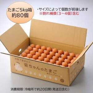 菊ちゃんのたまご5kg箱【1185768】