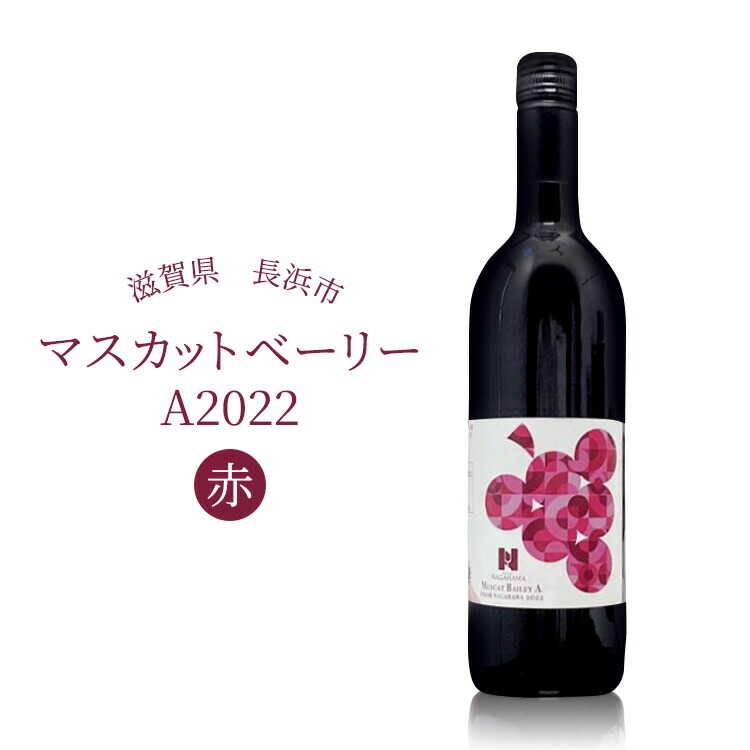 【ふるさと納税】長浜産マスカットベーリーA2022 赤※着日指定不可