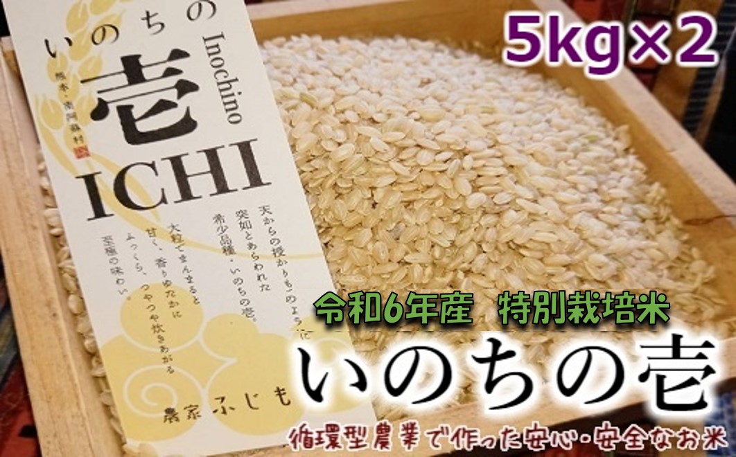 令和6年産特別栽培米 いのちの壱(玄米)5kg×2