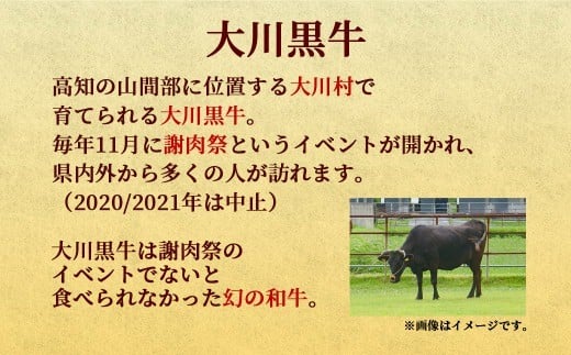 大川牛黒毛和牛 モモステーキ 400g ( 200g x 2個 ) 国産 黒毛和牛 A5 A4 ランク 肉 牛肉 国産 黒毛 和牛 モモ ステーキ 赤身 幻の大川黒毛和牛 ブランド牛 焼肉 ブロック 