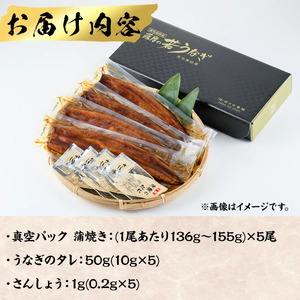 ＜丑の日先行予約受付中！＞鹿児島県産うなぎ蒲焼 (1尾あたり136g～155g×5尾、タレ・山椒付き) 鰻 かばやき 冷凍【西日本養鰻】B175-U