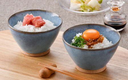 【波佐見焼】テラコッタ・BLUE 茶碗 2点セット【利左エ門窯】[QB70]