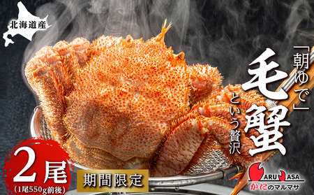 北海道産【朝ゆで】毛ガニ（550g前後）2尾 期間限定！≪かにのマルマサ≫ かに 毛がに カニ 千歳 北海道 海鮮