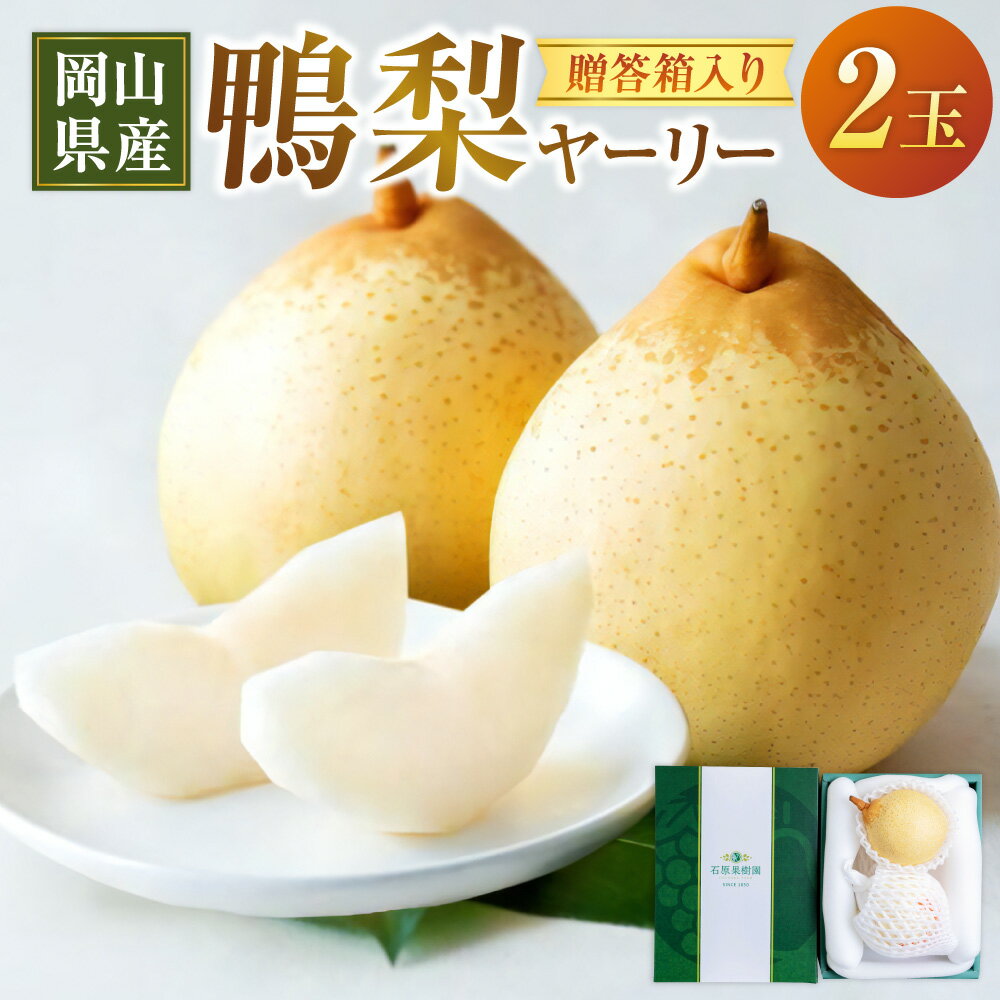 【ふるさと納税】鴨梨 ヤーリー 2玉 贈答箱 梨 なし ナシ フルーツ くだもの 果物 果実 岡山県産 岡山県 美咲町 送料無料 【2026年11月下旬～12月下旬発送予定】