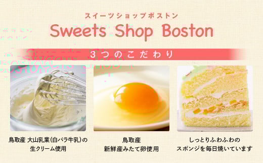 救急車 ３Ｄ立体型ケーキ ケーキ お祝い 誕生日 パーティー スイーツ オーダー バースデー 冷凍 鳥取県 倉吉市 縁起 めで鯛 1歳 七五三 長寿祝い 還暦 古希 喜寿 傘寿 米寿 卒寿 白寿 百寿