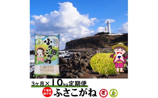 3ヶ月定期便 新米 令和7年産 お米 ふさこがね 10kg（5kg×2袋）