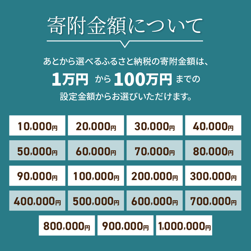 あとからセレクト【ふるさとギフト】１００万円