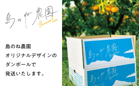 【先行予約】【訳あり】島のね農園のまどんな 5kg【KB01620】
