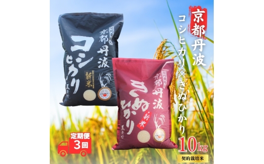 [№5334-0688]【3カ月定期便】令和7年産 京都丹波産 こしひかり・きぬひかり 食べ比べセット 10kg 合計30kg