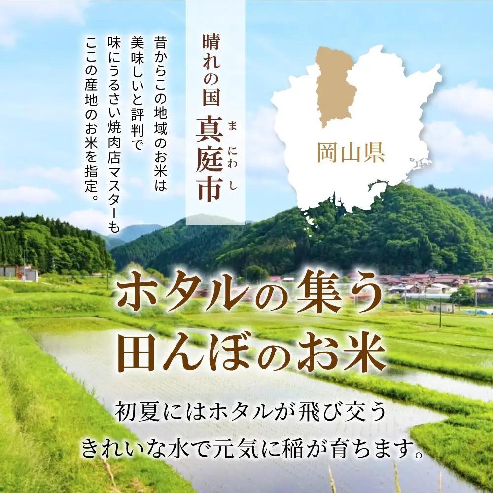 米 岡山県産精米 令和7年産太安さんちのあきたこまち白米10kg(5kg×2袋) 【tkns015-01-cho】