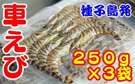 種子島 産 車えび （250ｇ×3p＝750ｇ）　NFN072 【450pt】